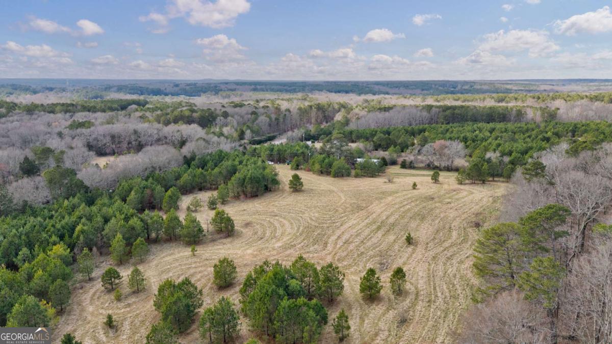 Tract 1 A High Shoals Road Bishop, GA 30621 - Photo 21 of 25 a view of a yard with a ocean