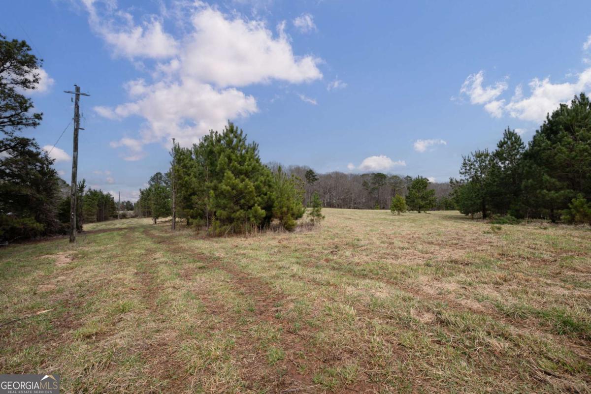 Tract 1 A High Shoals Road Bishop, GA 30621 - Photo 6 of 25 a view of a yard