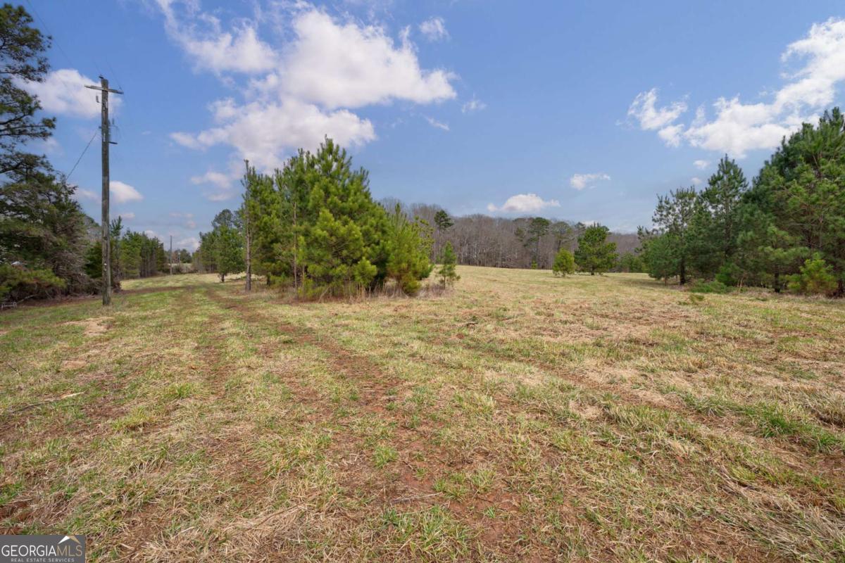 Tract 1 A High Shoals Road Bishop, GA 30621 - Photo 7 of 25 a view of a field with trees in the background