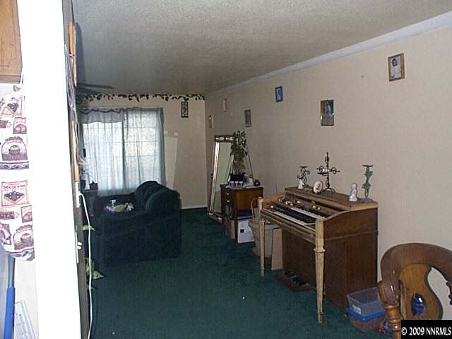535 Yellow Jacket Road Dayton, NV 89403 - Photo 3 of 9
