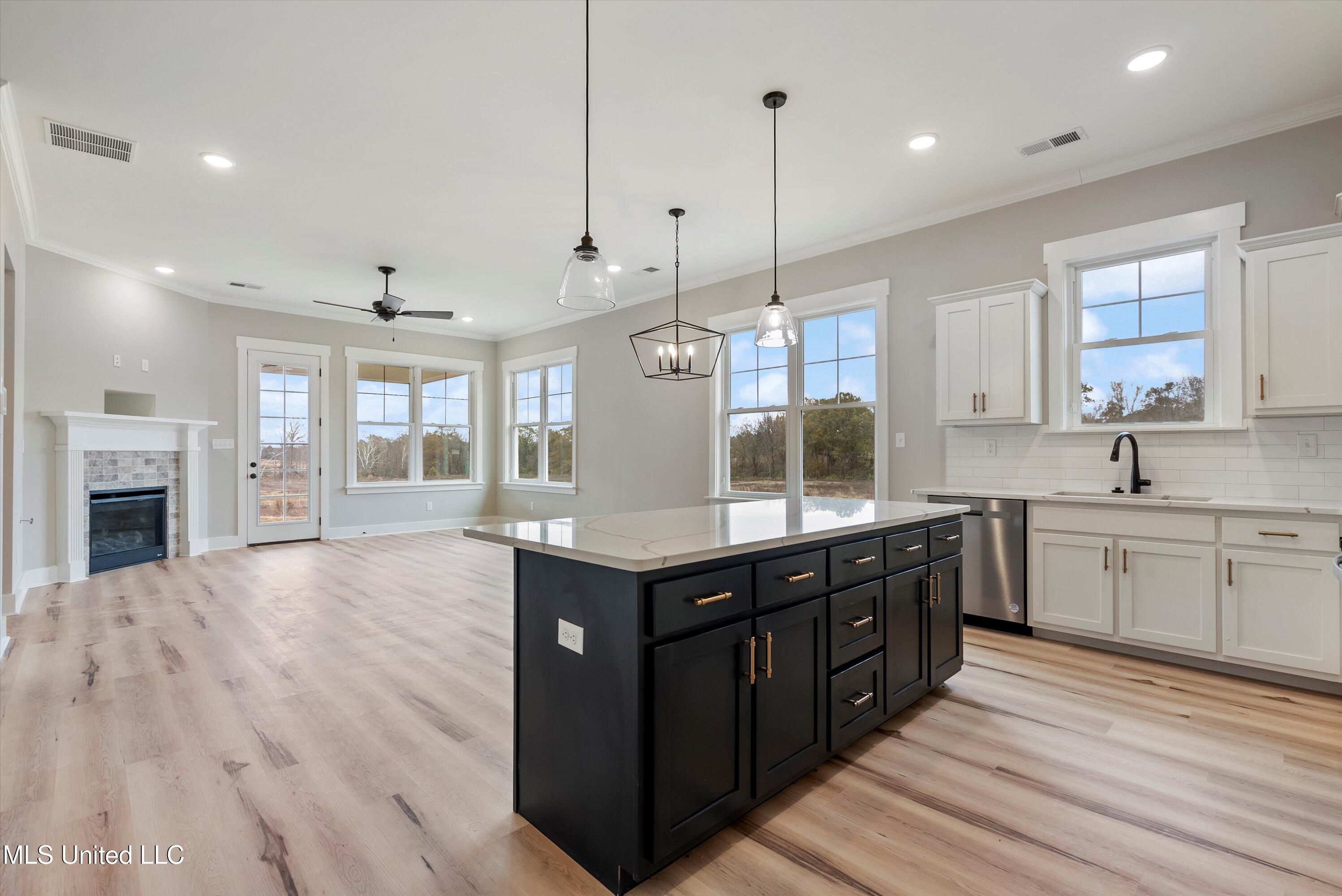 2593 River Ouse Drive Hernando, MS 38632 - Photo 2 of 25 11-Kitchen