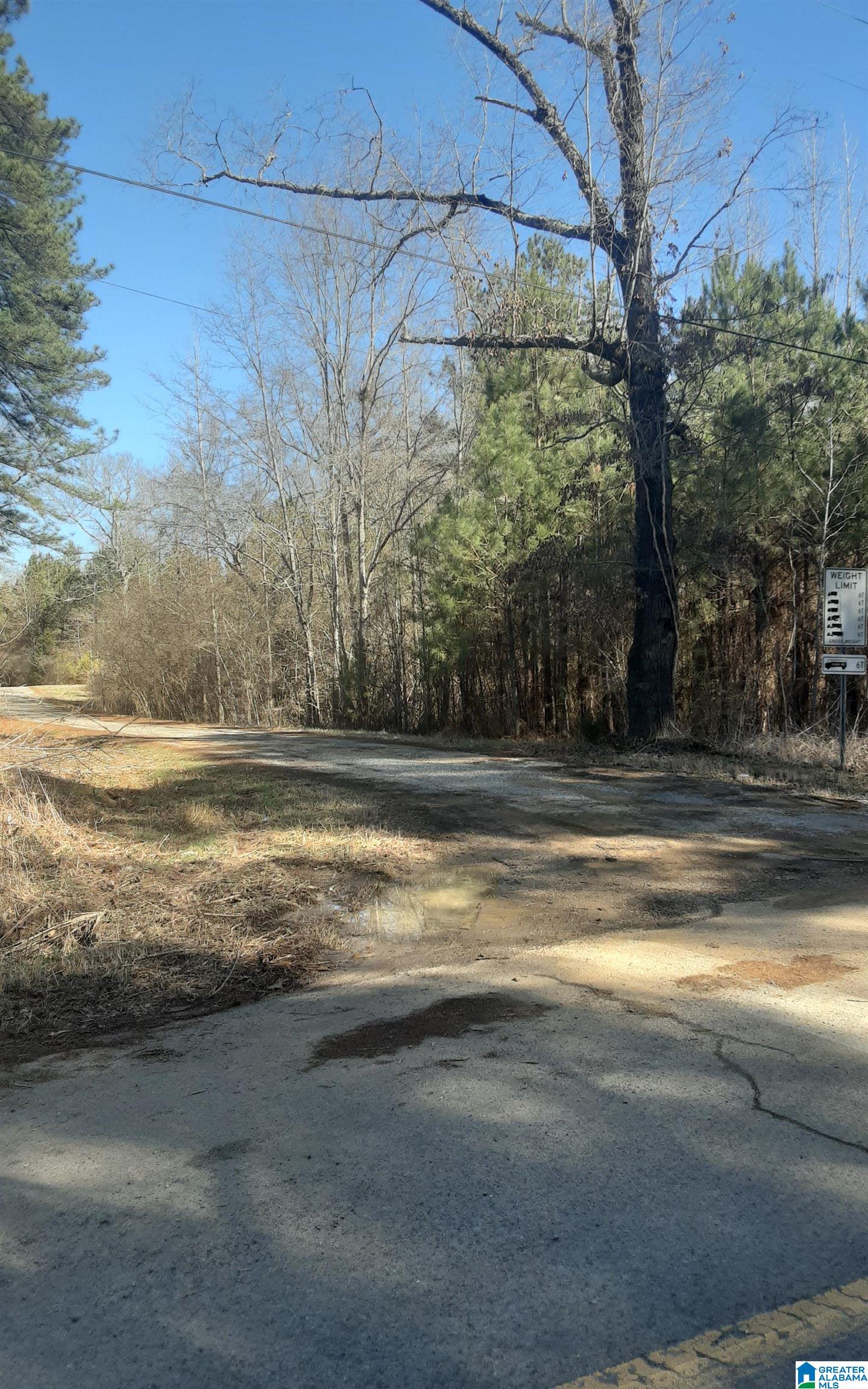 5385 Littleton Kilgore Road Dora, AL 35062 - Photo 25 of 27