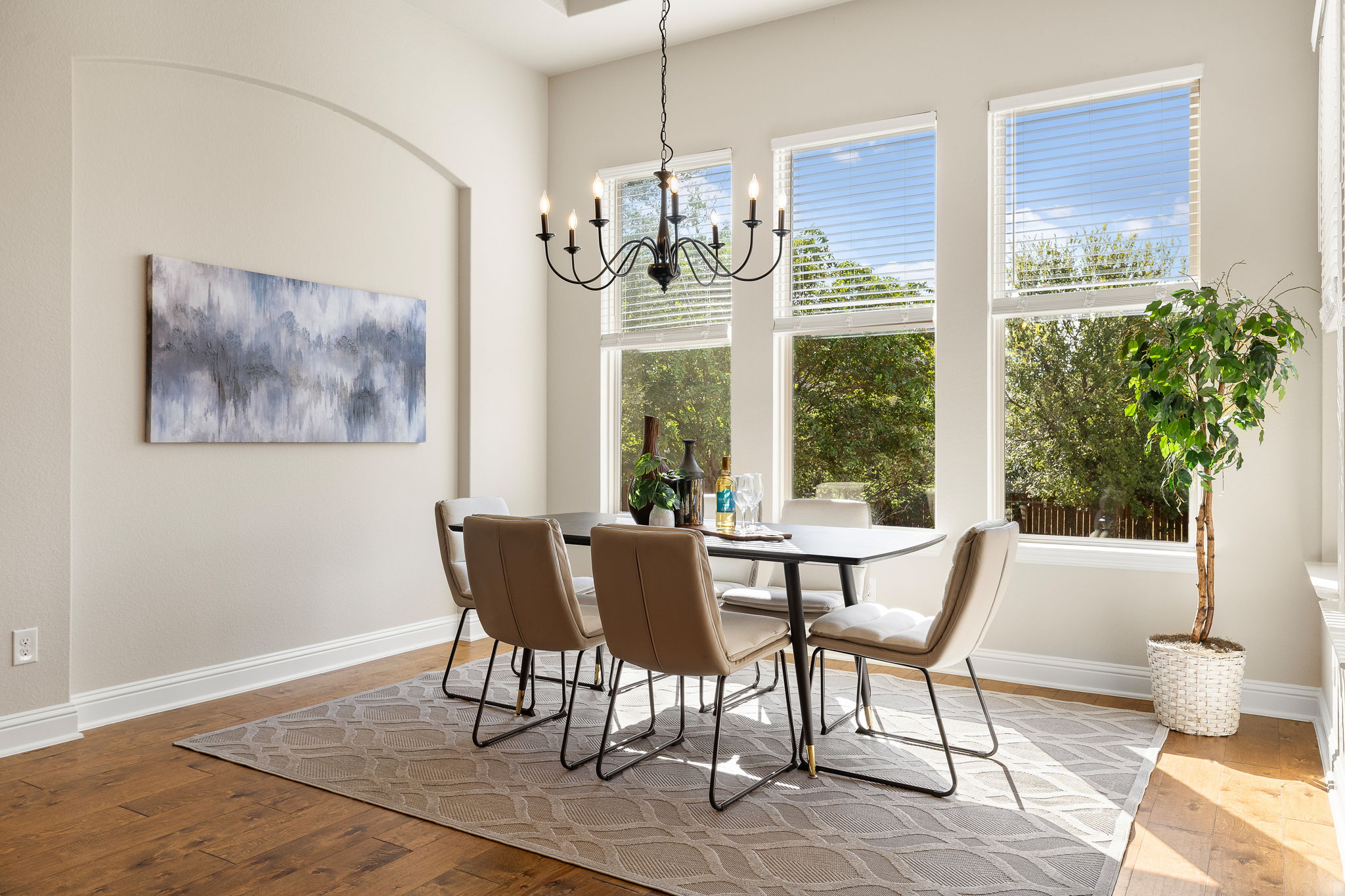 228 Lake Rim Circle Georgetown, TX 78633 - Photo 13 of 40 Gallery Image 13