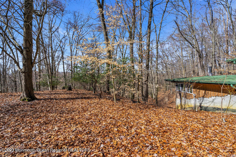 150 Larrison Road Wrightstown, NJ 08562 - Photo 34 of 73 034_dsc00601