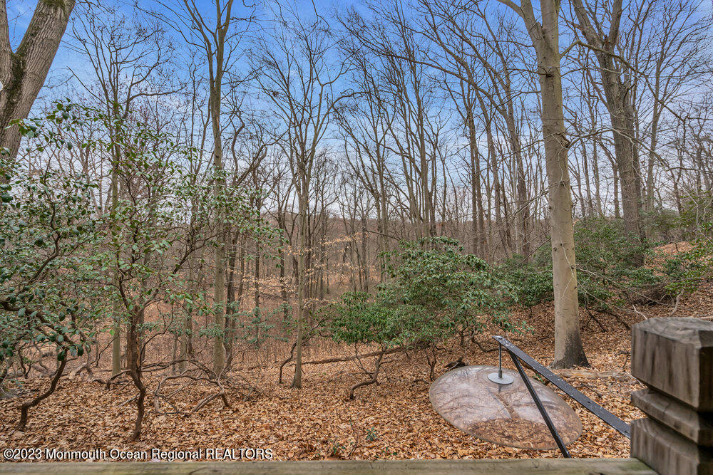 150 Larrison Road Wrightstown, NJ 08562 - Photo 70 of 73 dsc01086