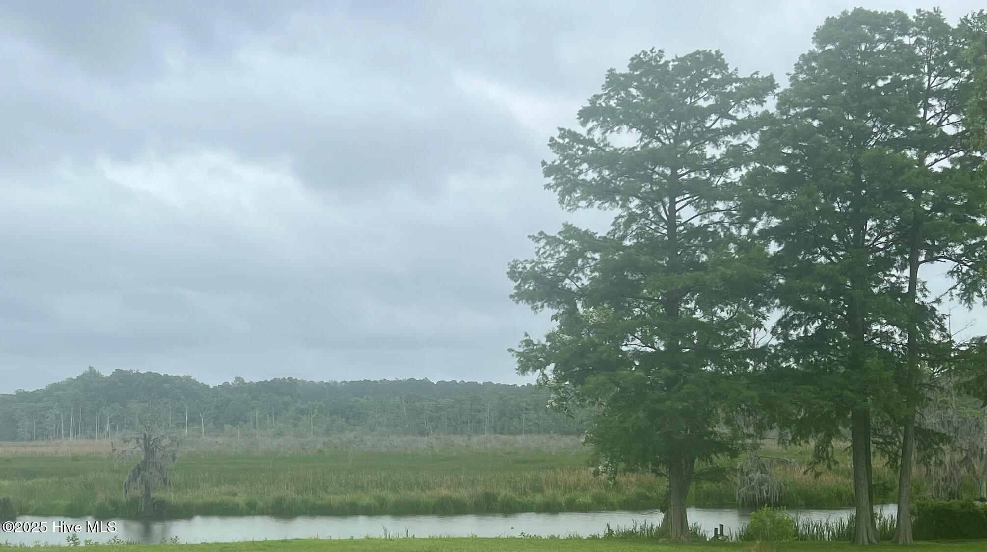 0 Poore Farm Road Chocowinity, NC 27817 - Photo 3 of 3 IMG_8200