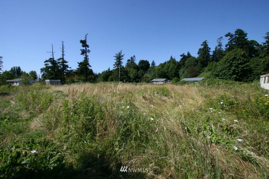 Lot#46 Lena Road Ferndale, WA 98248 - Photo 1 of 1