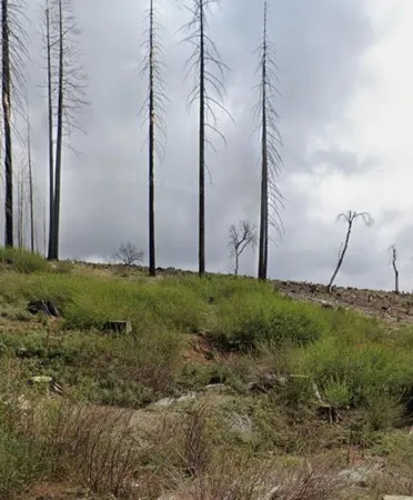 a view of a garden with a building in the background