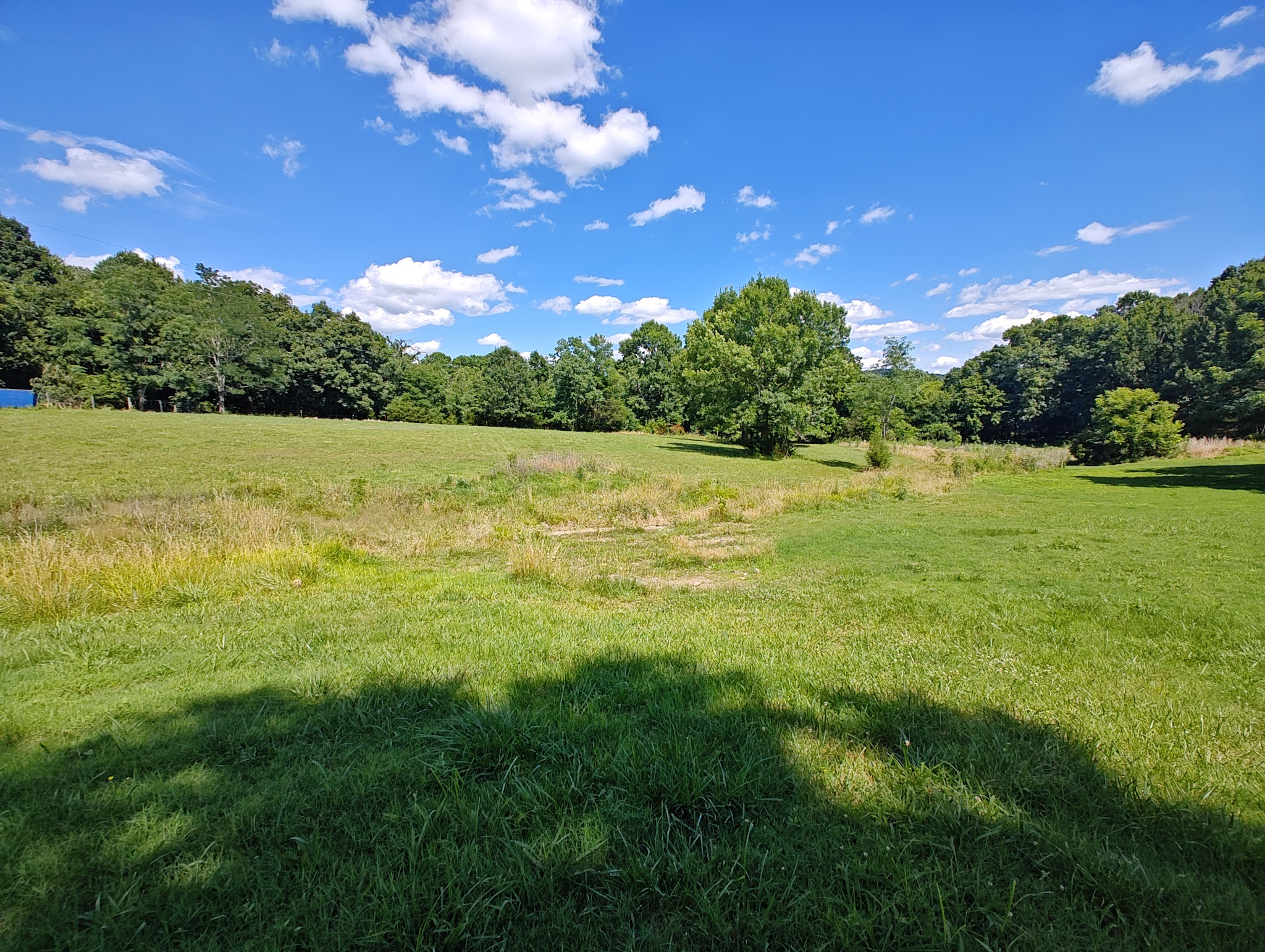 2770 Beech Log Road Watertown, TN 37184 - Photo 70 of 87 a view of an ocean and a yard