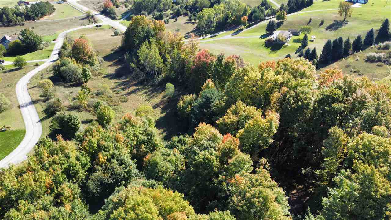 0 Palaestrum Road Williamsburg, MI 49690 - Photo 3 of 17