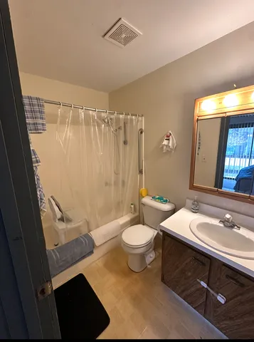 a bathroom with a sink a toilet a mirror and shower