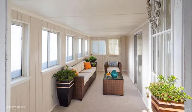 a living room filled with furniture and a potted plant