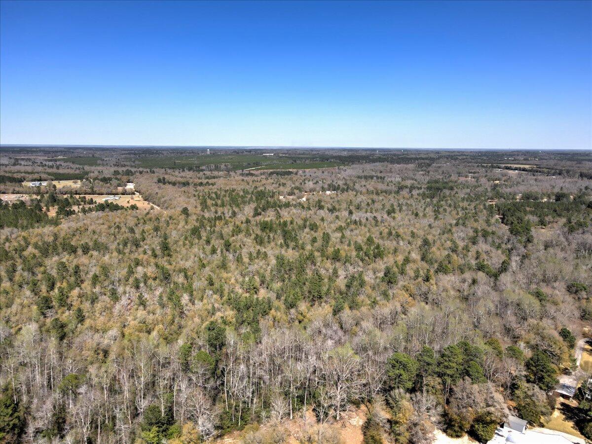 40.07-acre Tanglewood Road Williston, SC 29853 - Photo 8 of 9