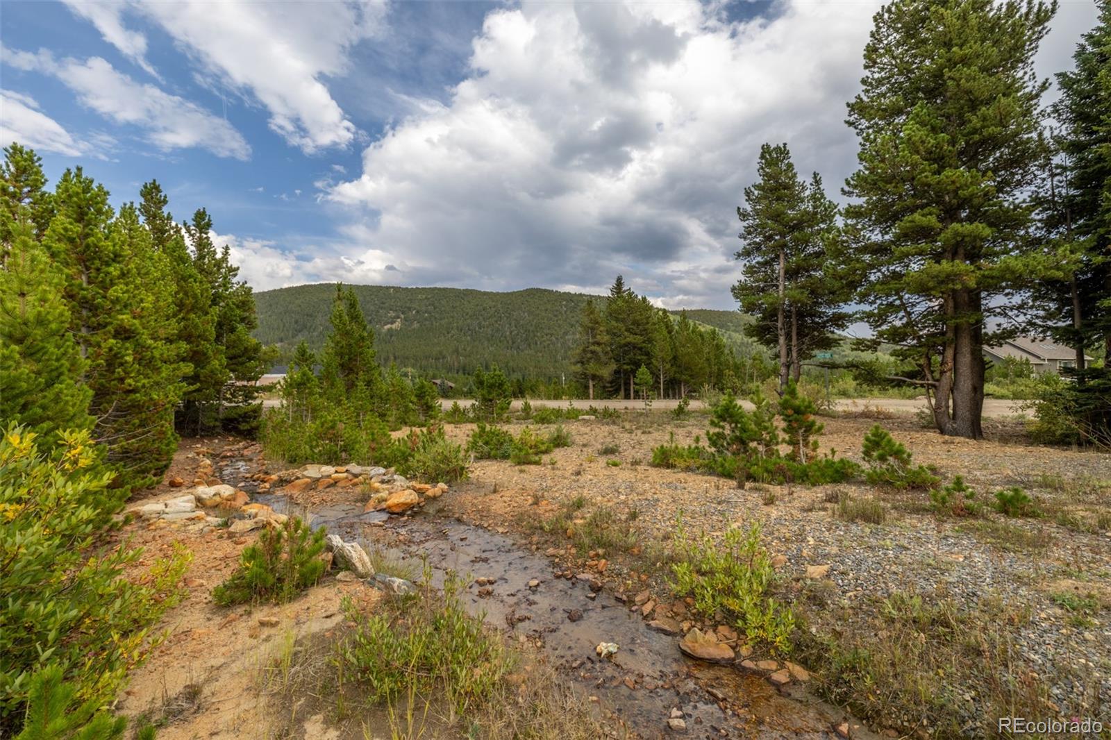 Beaver Road Idaho Springs, CO 80452 - Photo 1 of 50 a view of a yard with large trees