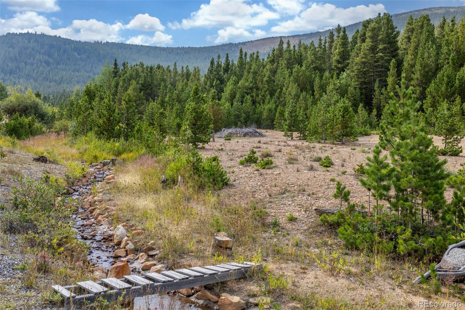 Beaver Road Idaho Springs, CO 80452 - Photo 11 of 50 a view of a yard with plants and large trees