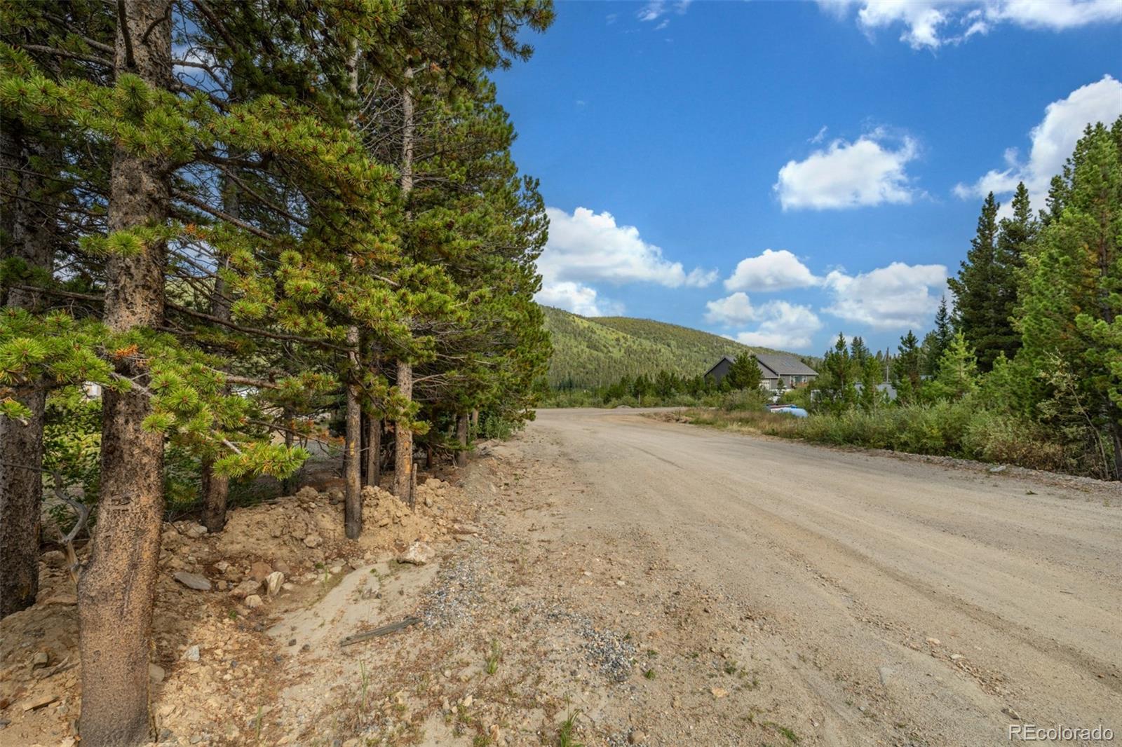 Beaver Road Idaho Springs, CO 80452 - Photo 16 of 50 a view of a yard with plants and a trees