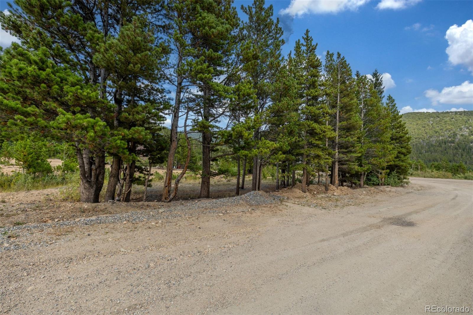 Beaver Road Idaho Springs, CO 80452 - Photo 20 of 50 a view of a field with trees in the background