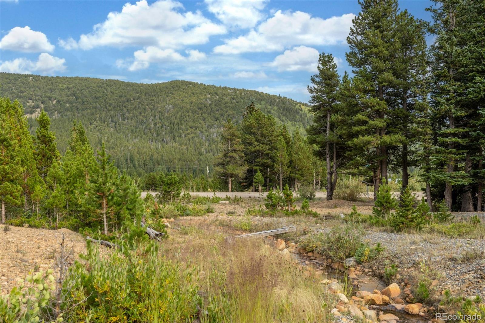 Beaver Road Idaho Springs, CO 80452 - Photo 21 of 50 a view of large trees with a yard
