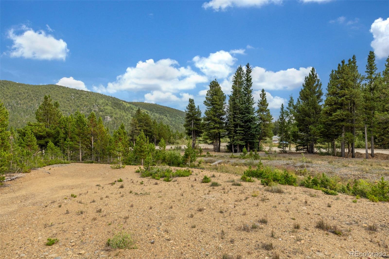 Beaver Road Idaho Springs, CO 80452 - Photo 22 of 50 a view of a road with a yard