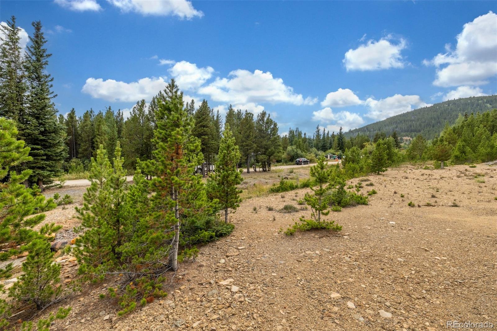 Beaver Road Idaho Springs, CO 80452 - Photo 23 of 50 a view of a yard