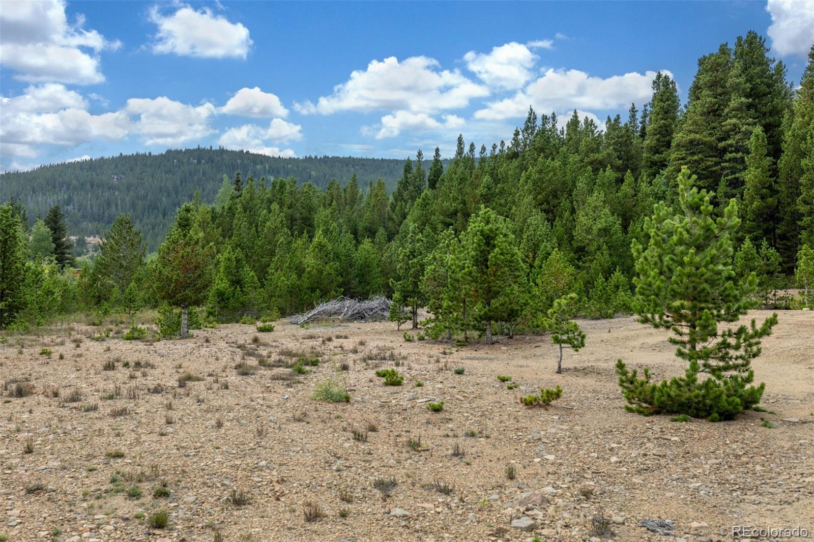 Beaver Road Idaho Springs, CO 80452 - Photo 24 of 50 a view of a dry yard with wooden fence