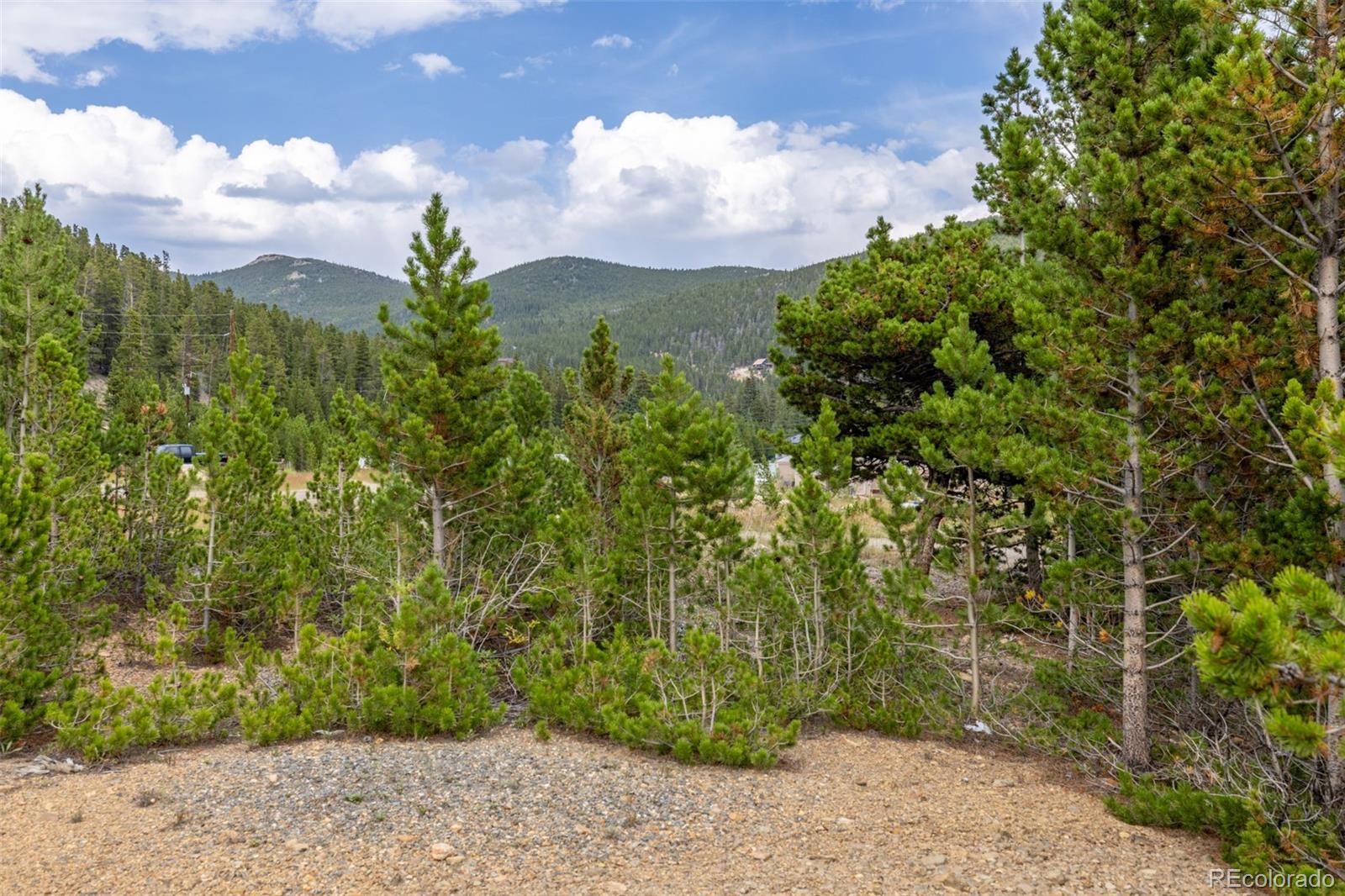 Beaver Road Idaho Springs, CO 80452 - Photo 25 of 50 a view of a yard with plants and a large tree