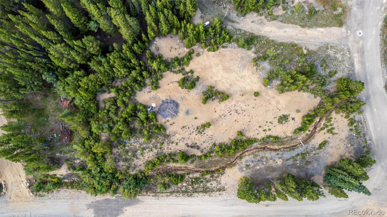 Beaver Road Idaho Springs, CO 80452 - Photo 27 of 50 a view of a garden with a flower