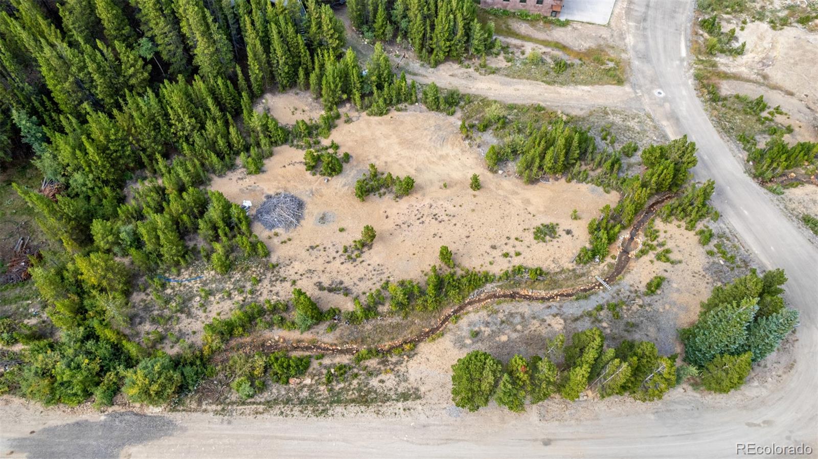 Beaver Road Idaho Springs, CO 80452 - Photo 28 of 50 a view of a garden with a flower