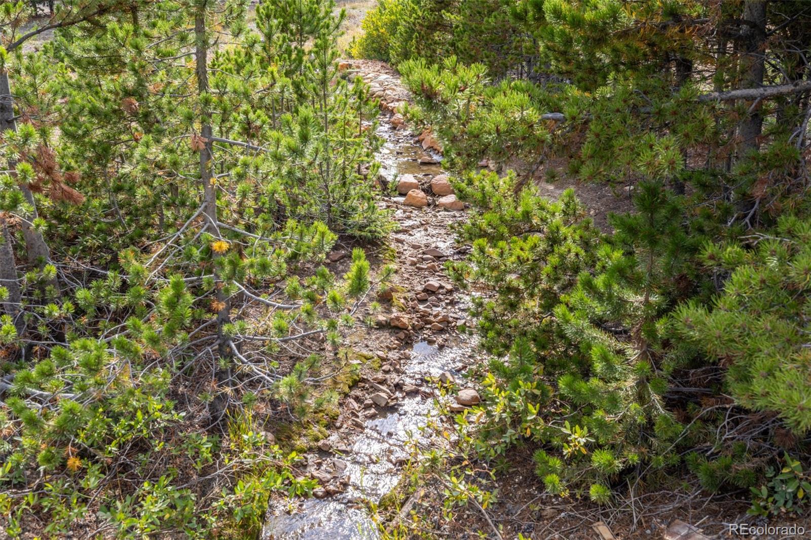 Beaver Road Idaho Springs, CO 80452 - Photo 4 of 50 a view of a tree