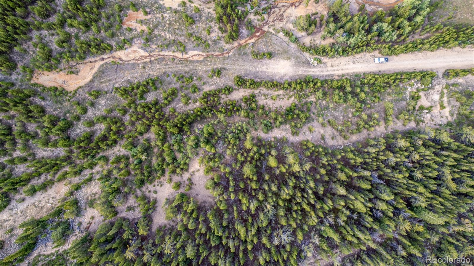 Beaver Road Idaho Springs, CO 80452 - Photo 43 of 50 a view of a yard