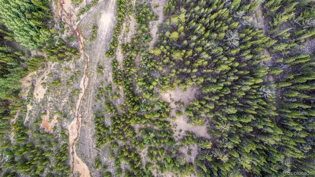 a view of a garden with a lake