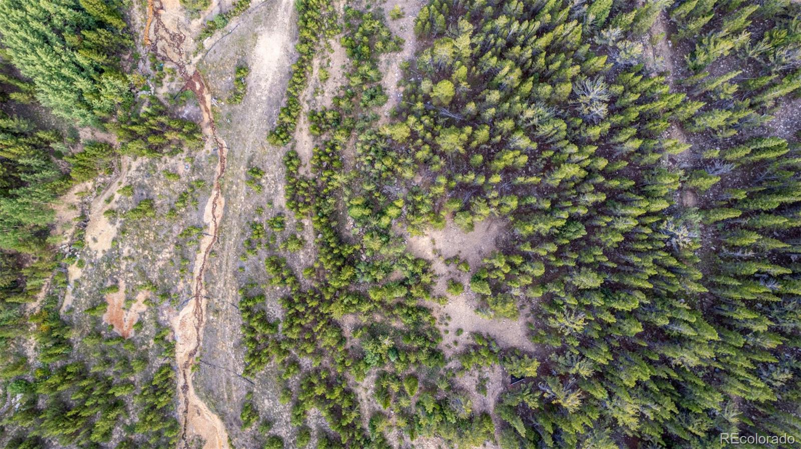 Beaver Road Idaho Springs, CO 80452 - Photo 44 of 50 a view of a tree