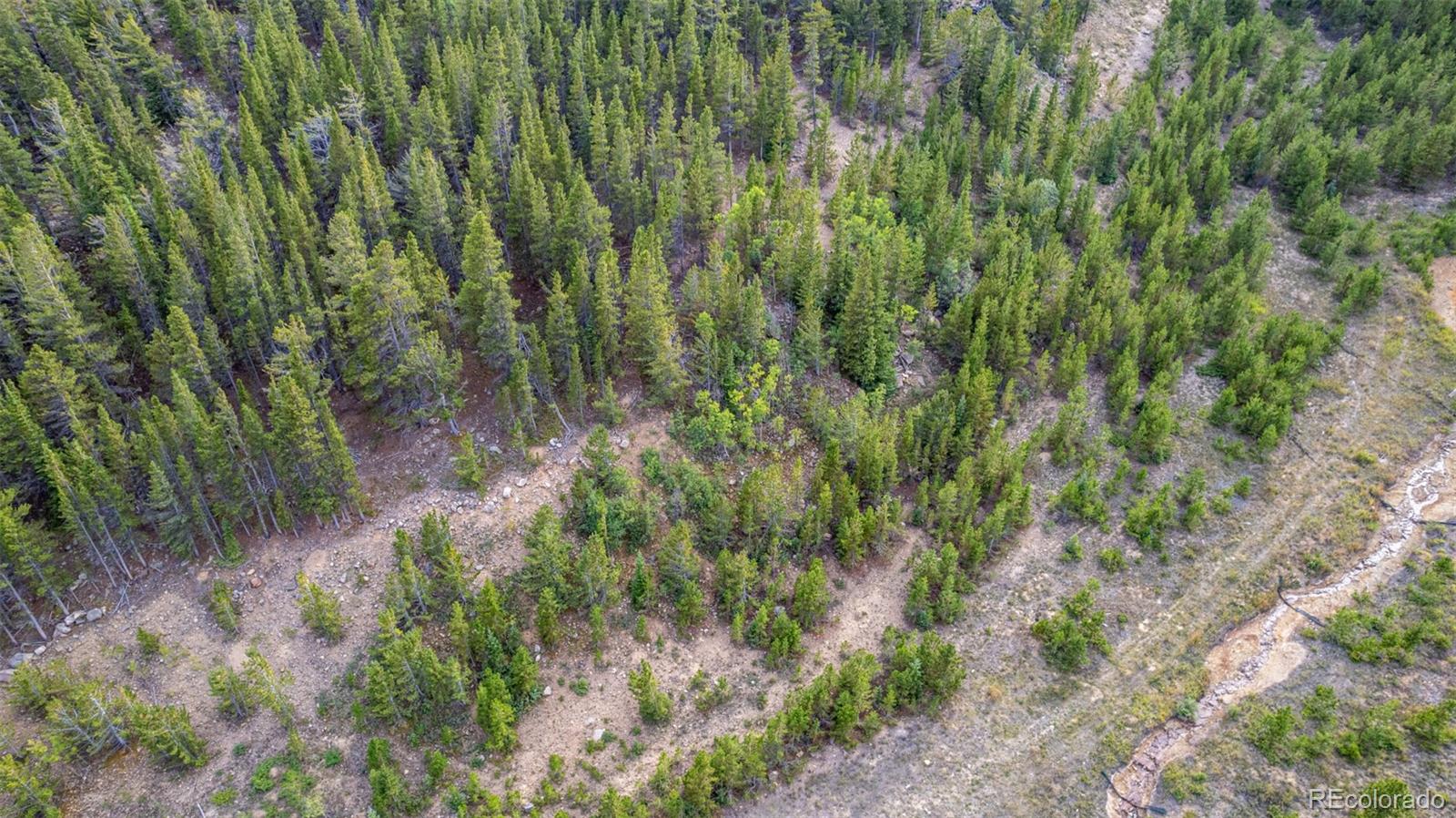 Beaver Road Idaho Springs, CO 80452 - Photo 45 of 50 a view of a lush green forest with lots of trees