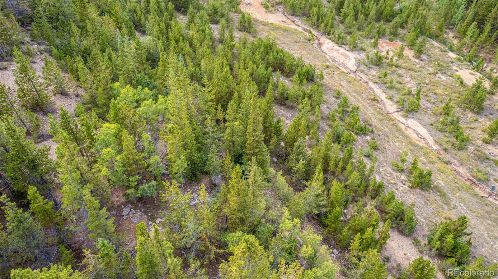 Beaver Road Idaho Springs, CO 80452 - Photo 47 of 50 a view of a lush green forest