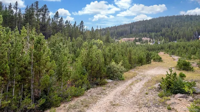 $65,000 | Beaver Road, Idaho Springs, CO 80452