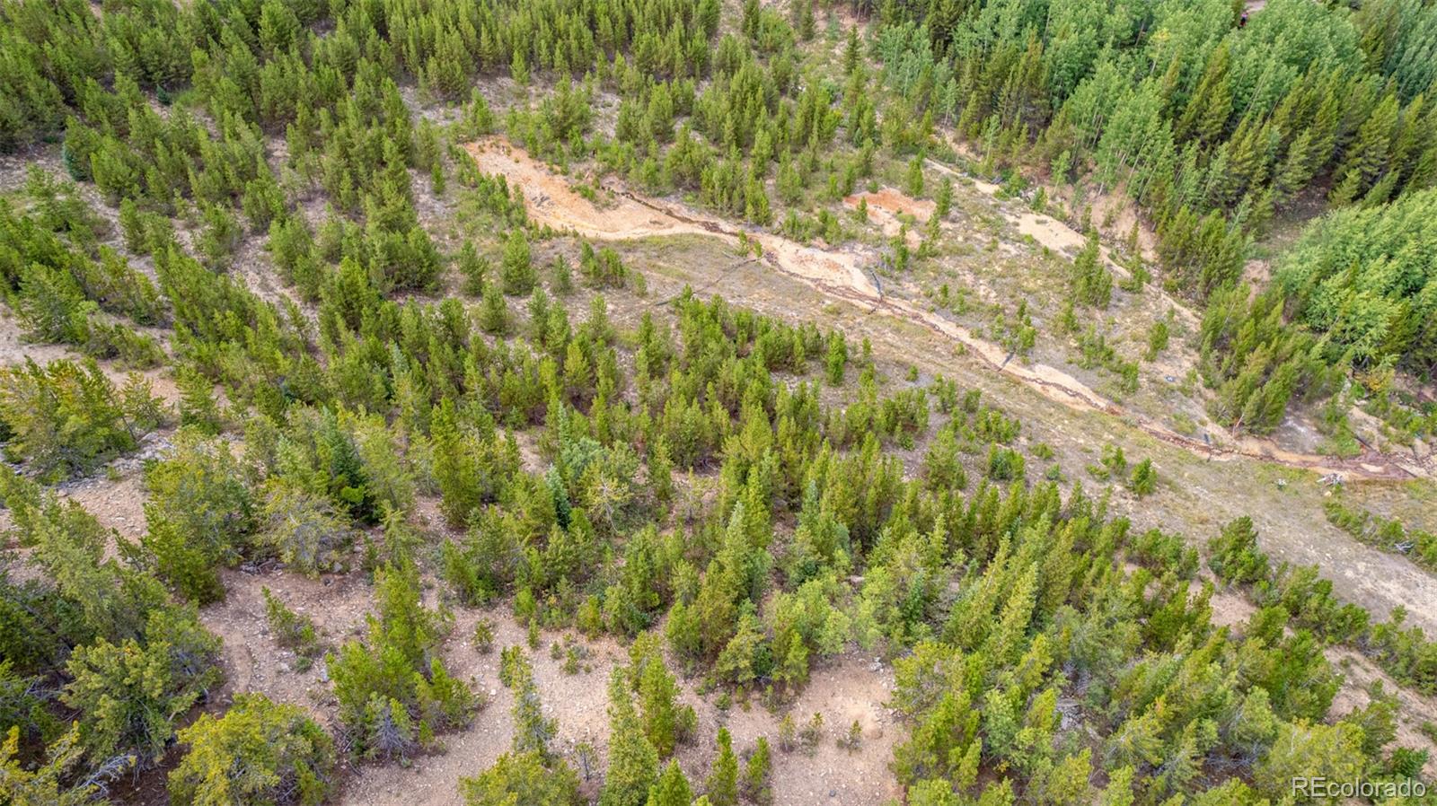 Beaver Road Idaho Springs, CO 80452 - Photo 50 of 50 a view of a yard