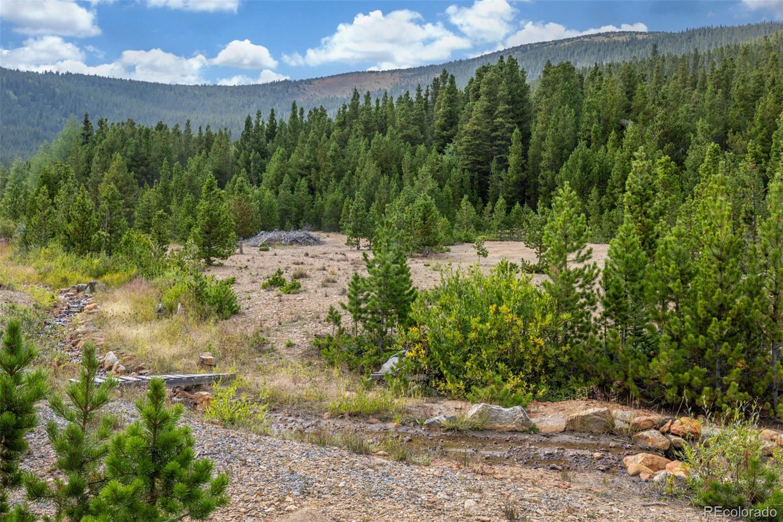 Beaver Road Idaho Springs, CO 80452 - Photo 6 of 50 a view of a yard in a forest