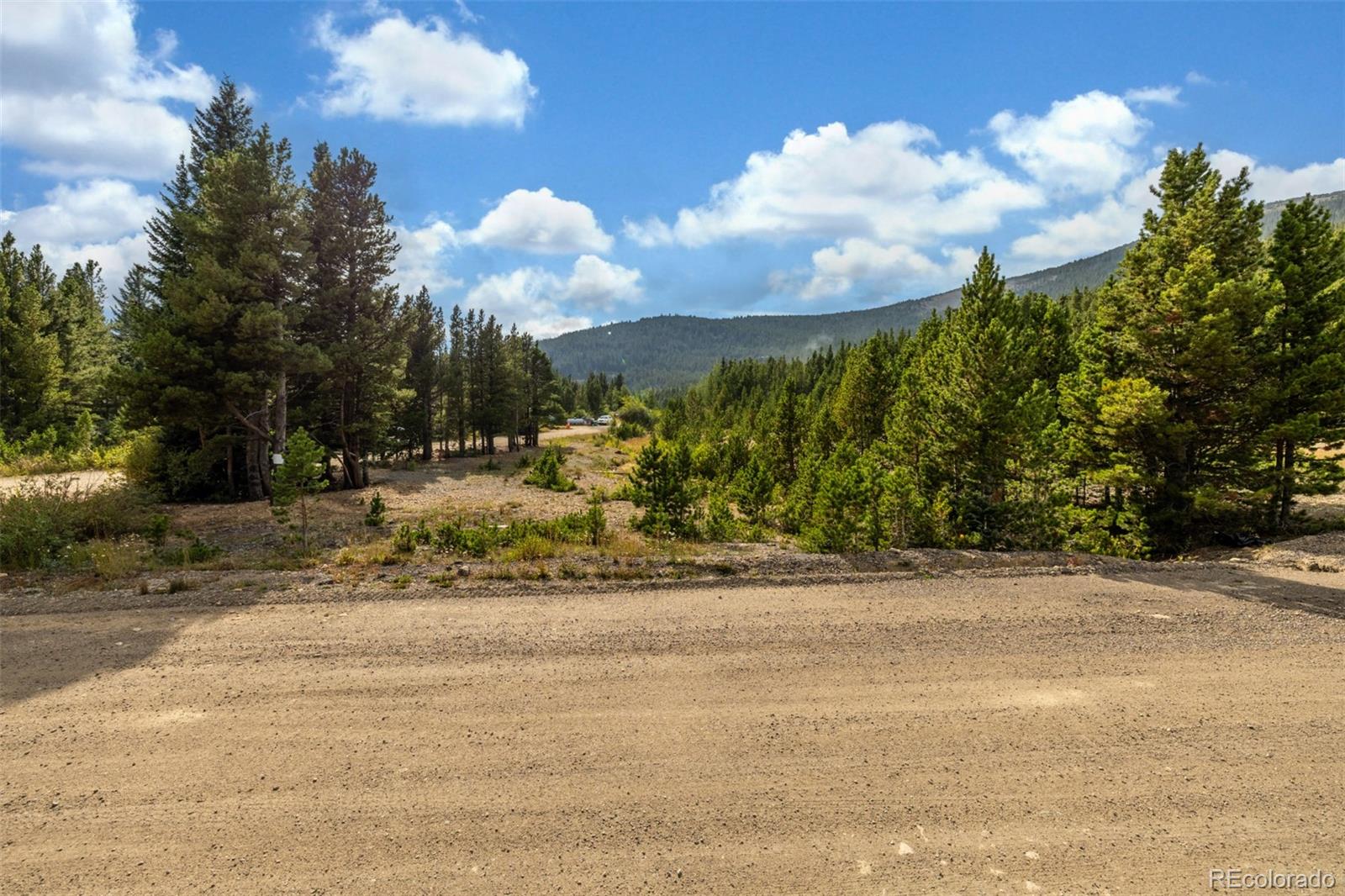 Beaver Road Idaho Springs, CO 80452 - Photo 7 of 50 a view of a yard with a pathway