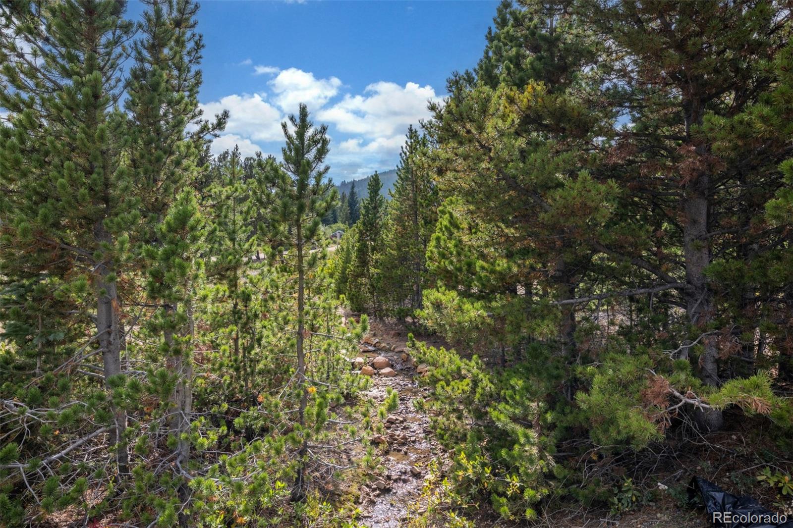 Beaver Road Idaho Springs, CO 80452 - Photo 9 of 50 a view of a bunch of flowers