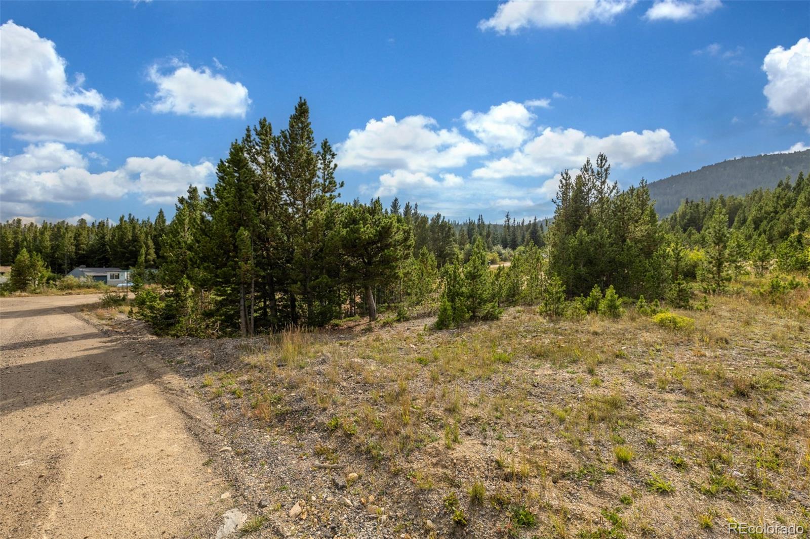 Beaver Road Idaho Springs, CO 80452 - Photo 10 of 50 a view of a yard