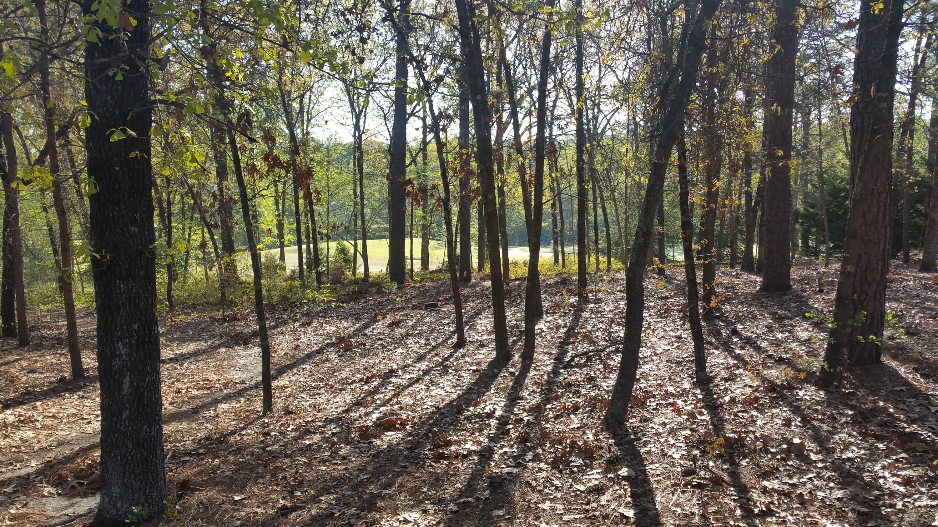 215 Hearthstone Road Pinehurst, NC 28374 - Photo 2 of 4 Walk Out Lot