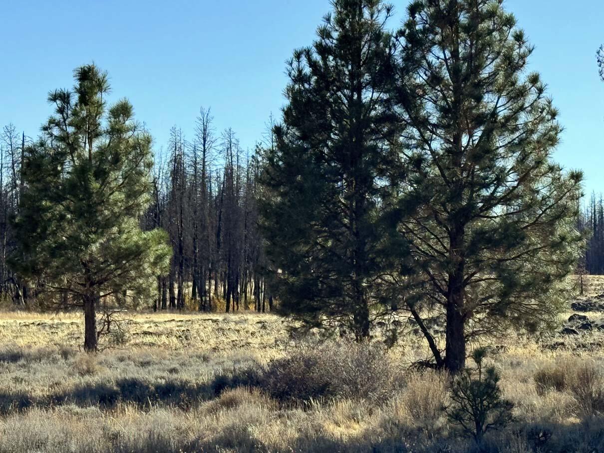 Bull Pine Road, Unit 500 400 300 Beatty, OR 97621 - Photo 32 of 50 IMG_4216