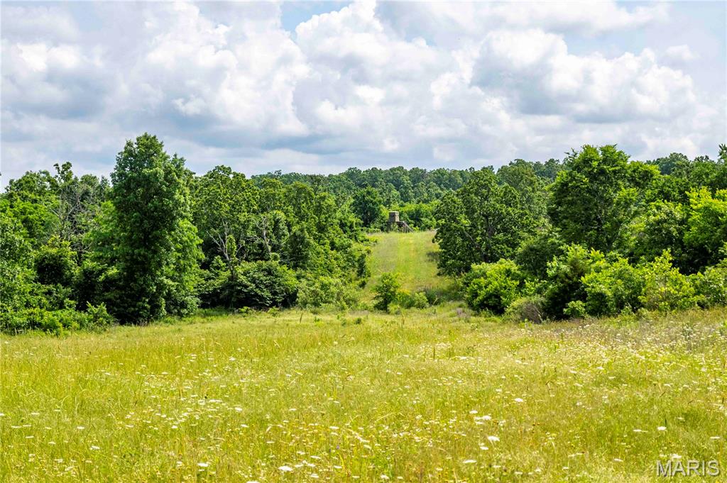 0 Abram Road Hartville, MO 65667 - Photo 84 of 97