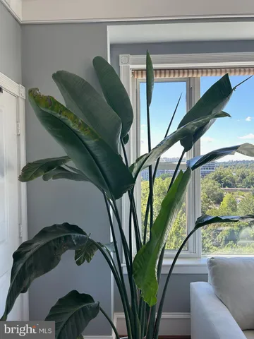 $4,600 | 2600 Pennsylvania Avenue Northwest, Unit 704, Washington, DC 20037