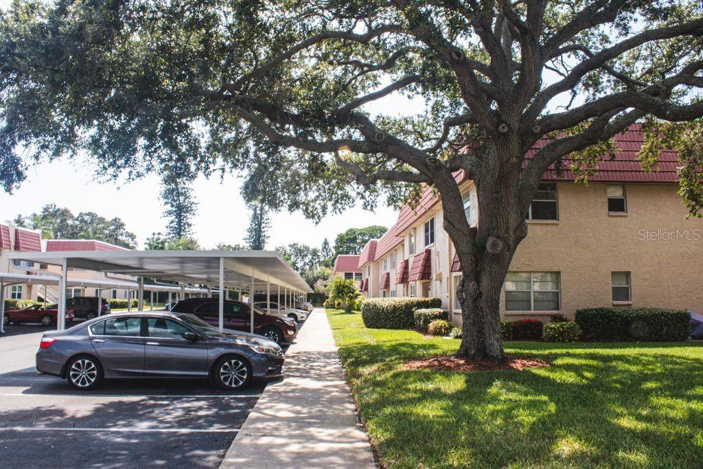 10037 62nd Terrace, Unit 19 St. Petersburg, FL 33708 - Photo 22 of 22
