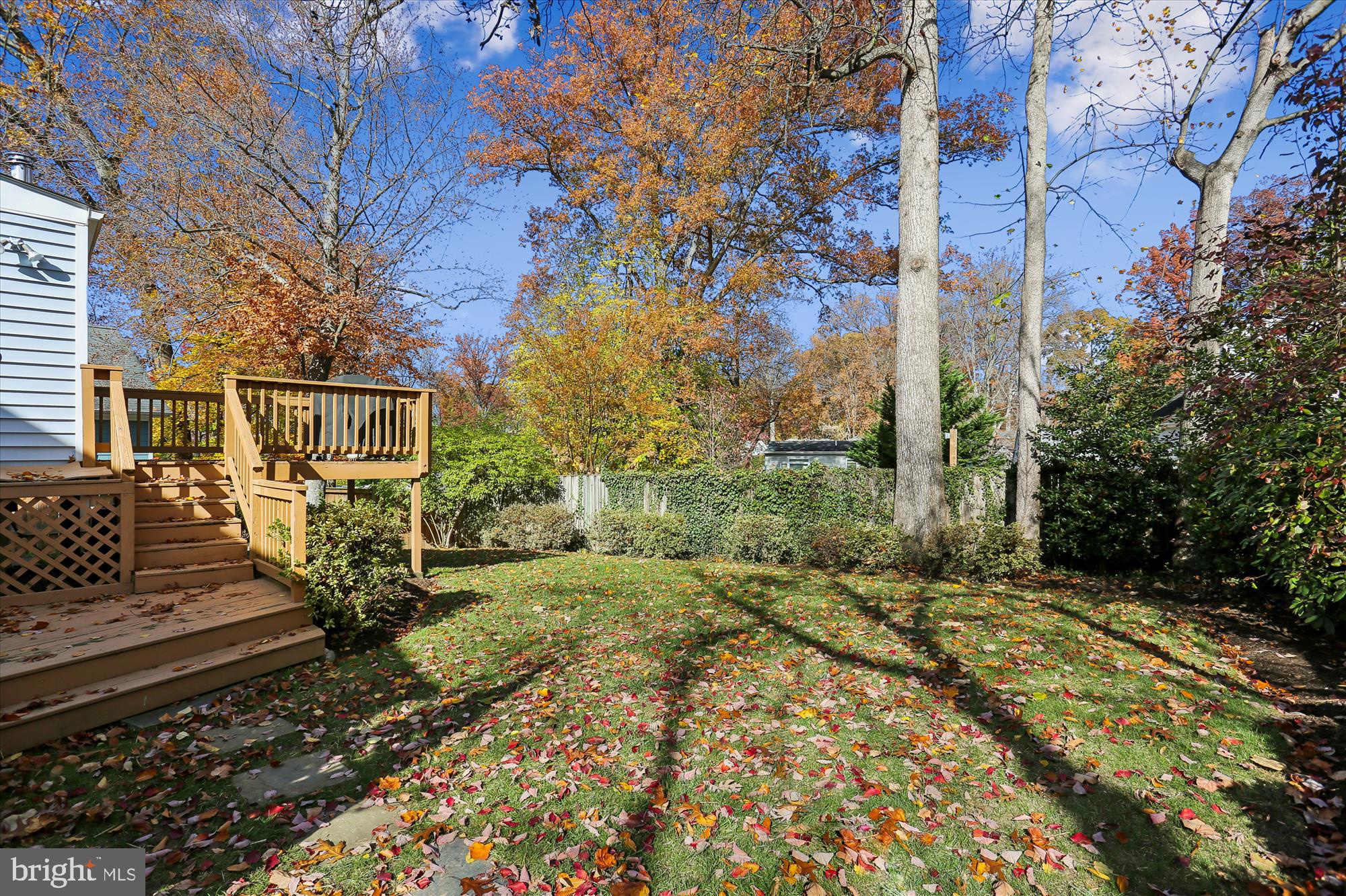 3303 Fayette Road Kensington, MD 20895 - Photo 29 of 36 Gallery Image 29