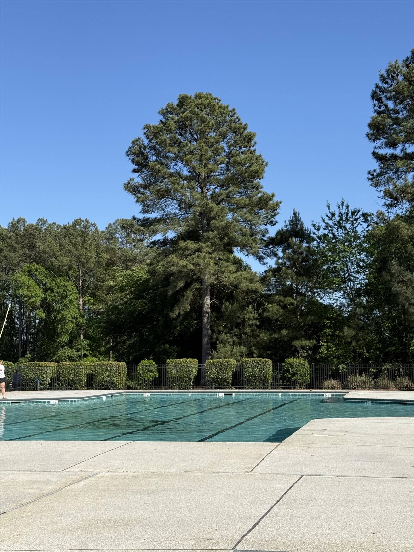 822 Grande Dunes Way Inman, SC 29349 - Photo 5 of 11
