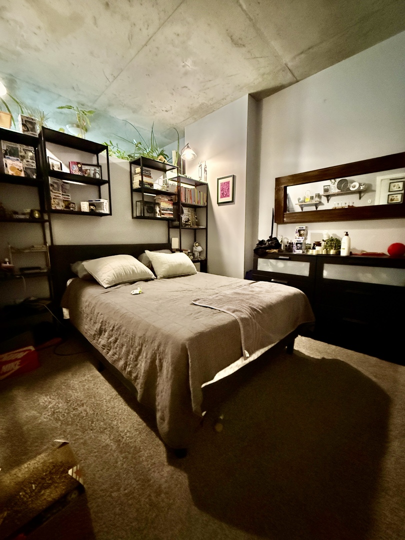 235 West Van Buren Street, Unit 3606 Chicago, IL 60607 - Photo 9 of 15