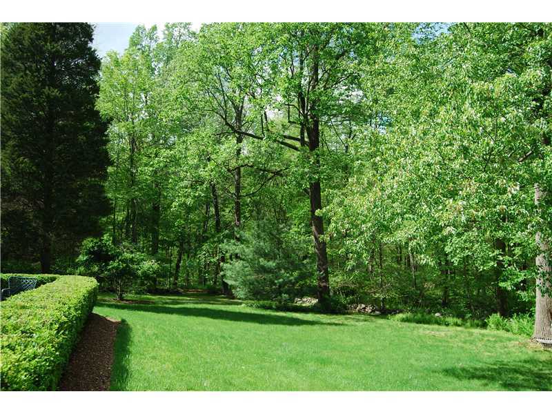 201 Michigan Road New Canaan, CT 06840 - Photo 25 of 25 a view of a grassy field with trees
