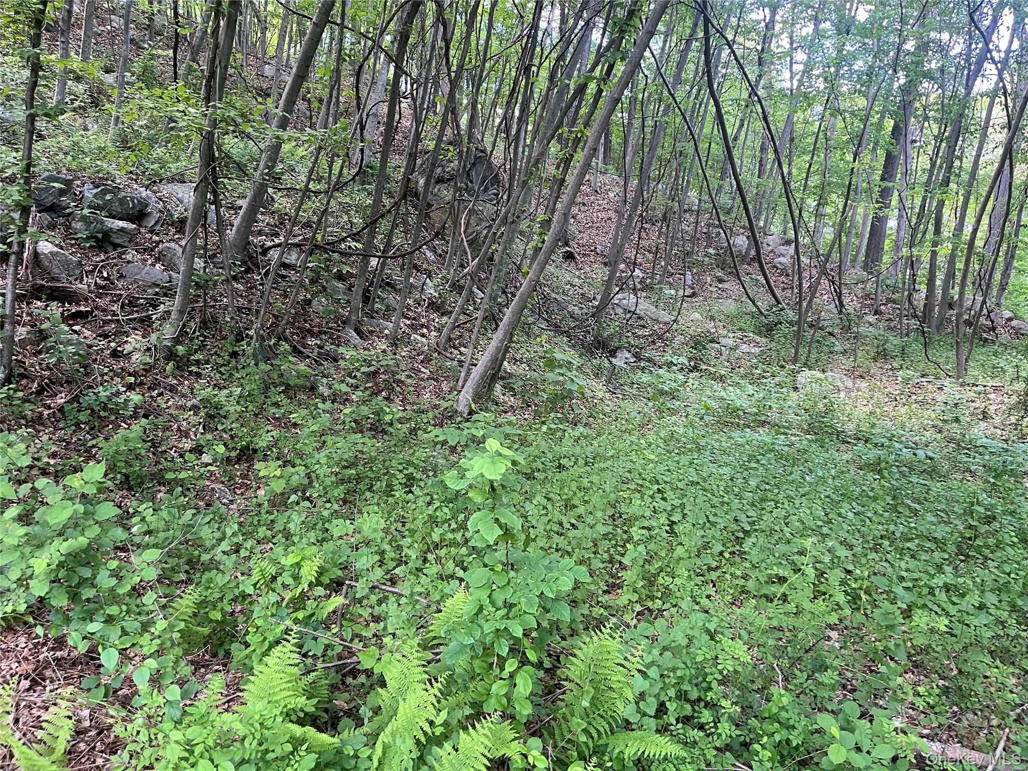 Old Church Road Putnam Valley, NY 10579 - Photo 22 of 26